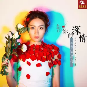 你的深情从未给过我(伴奏)