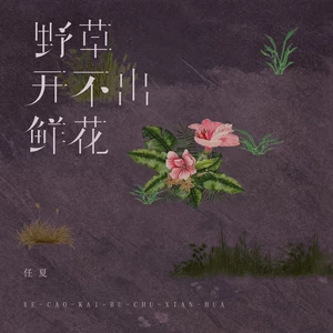 任夏 - 野草开不出鲜花(伴奏)