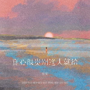 任夏 - 真心很贵别逢人就给(伴奏)