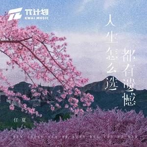 人生怎么选都有遗憾(DJEva版)