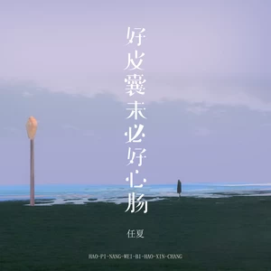 任夏 - 好皮囊未必好心肠(DJEva版伴奏)