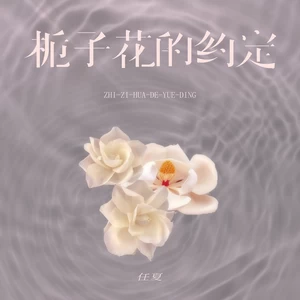 栀子花的约定(伴奏)