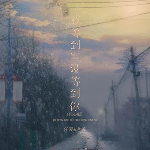 任夏/老板 - 我等到雪没等到你(死心版伴奏)