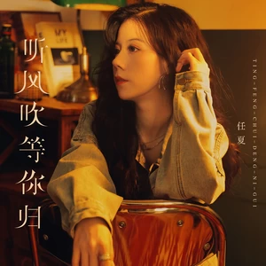 听风吹等你归(伴奏)