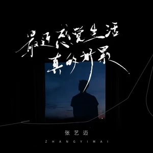 张艺迈 - 最近感觉生活真的好累