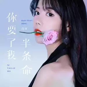 你要了我半条命(伴奏)