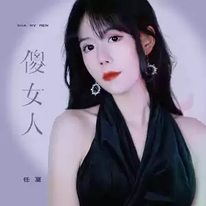 任夏 - 傻女人