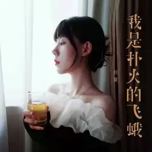 任夏 - 我是扑火的飞蛾(DJEva版)