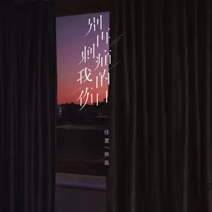 任夏/熊磊 - 别再刺痛我的伤口(伴奏)