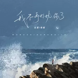 任夏/老板 - 我不再打扰你了(伴奏)