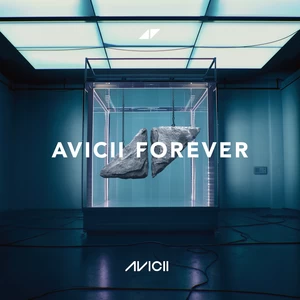 Avicii - Wake Me Up(Radio Edit)