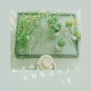 就这样安静陪在你左右(伴奏)
