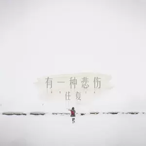 有一种悲伤(伴奏)