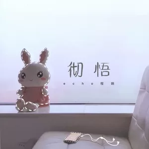 程响 - 彻悟(伴奏)