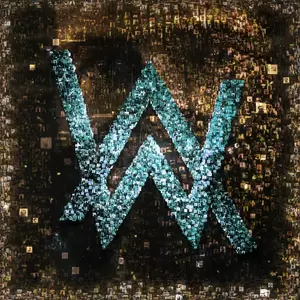 Alan Walker/Emma Steinbakken - Not You