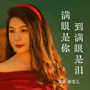 燕宝儿 - 满眼是你到满眼是泪