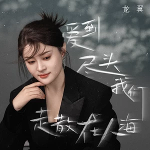 龙翼 - 爱到尽头我们走散在人海