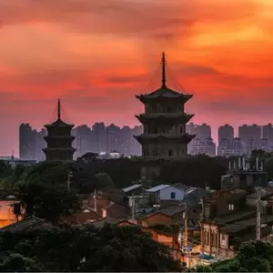 木白 - 刺桐城