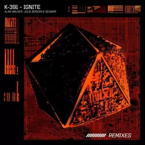 K-391/Alan Walker/Julie Bergan/승리 - Ignite(Ahrix Remix)