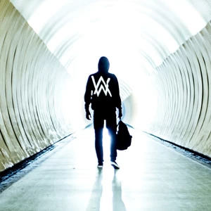 Martin Haber/Alan Walker - Faded(Martin Haber Edit)