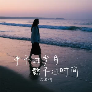 文思闵 - 争不过岁月熬不过时间