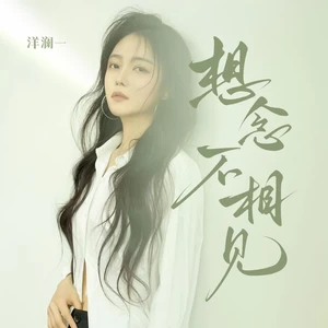 洋澜一 - 想念不相见(律动版伴奏)