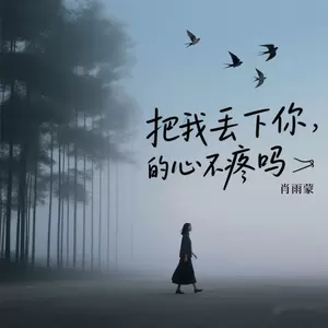 肖雨蒙 - 把我丢下你的心不疼吗
