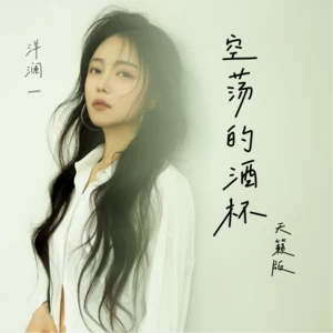 洋澜一 - 空荡的酒杯(DJ默涵版伴奏)
