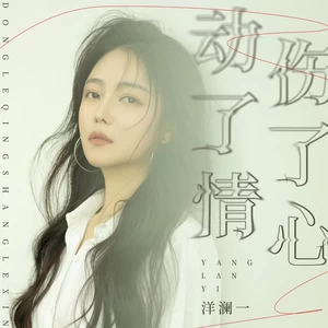 洋澜一 - 动了情伤了心(DJ九零版伴奏)