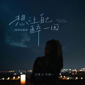 洋澜一/王晴 - 想让自己醉一回(国粤对唱版)