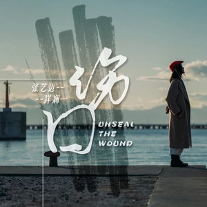 洋澜一/张艺迈 - 伤口(伴奏)