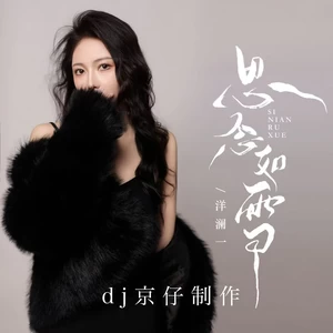 洋澜一 - 思念如雪(DJ京仔版)(伴奏)