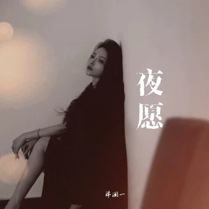 夜愿(DJ默涵版)