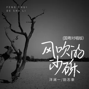 洋澜一/励志豪 - 风吹的沙砾(国粤对唱版伴奏)