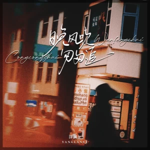 晚风吹匆匆追