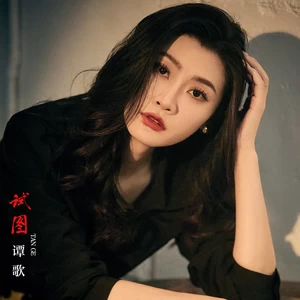 谭歌/洋澜一 - 试图(合唱版)(伴奏)