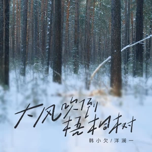 韩小欠/洋澜一 - 大风吹倒梧桐树(男女对唱)