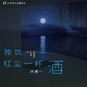 独饮红尘一杯酒(DJ何友版伴奏)