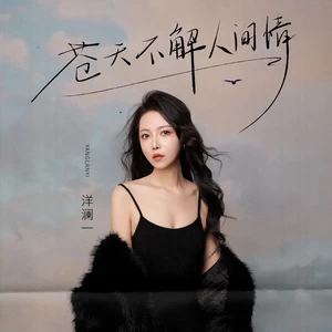苍天不解人间情(DJ九零版)