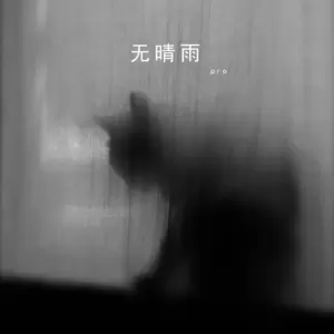pro - 无晴雨