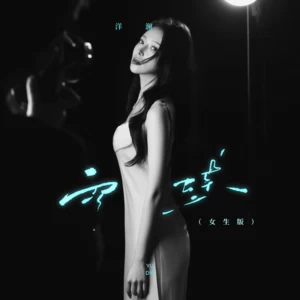 雨蝶(DJ版伴奏)