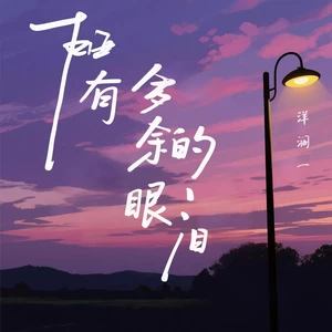 谁 有多余的眼泪（DJ快摇版）