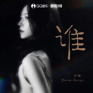 谁(DJ小辉版)