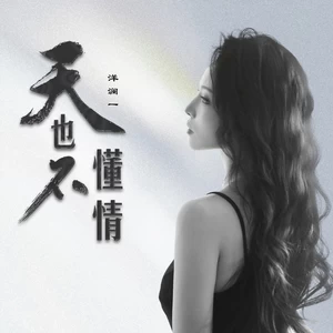 天也不懂情（云淡风轻一轮江月明）(伴奏)