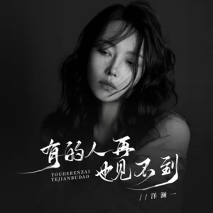 有的人再也见不到(伴奏)