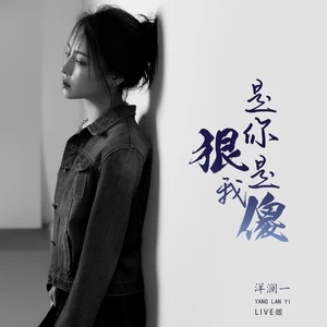 是你狠是我傻(Live版伴奏)