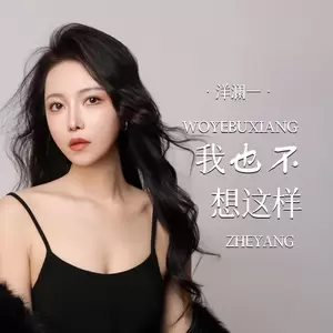 我也不想这样(DJ彭锐版伴奏)