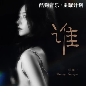 谁(Dj老鹏Remix)