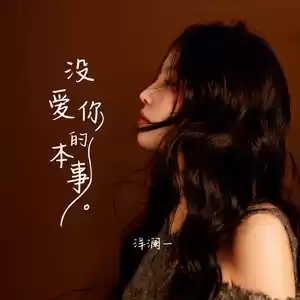 洋澜一 - 没爱你的本事(伴奏)