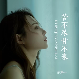 苦不尽甘不来(DJ默涵版伴奏)